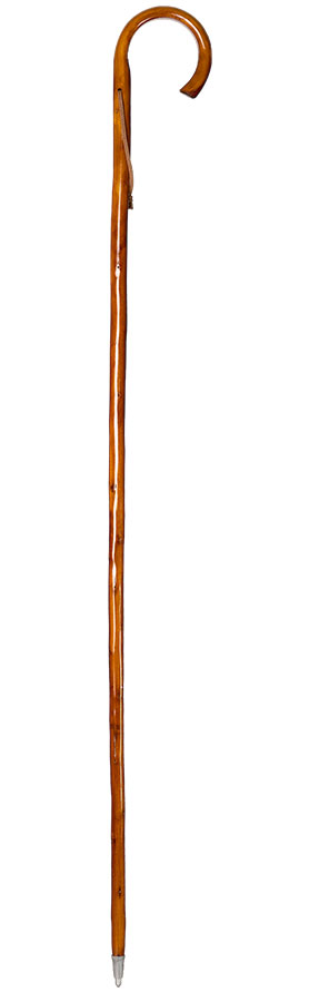 Bordón 504P de castaño con concha de peregrino, 94 cm.